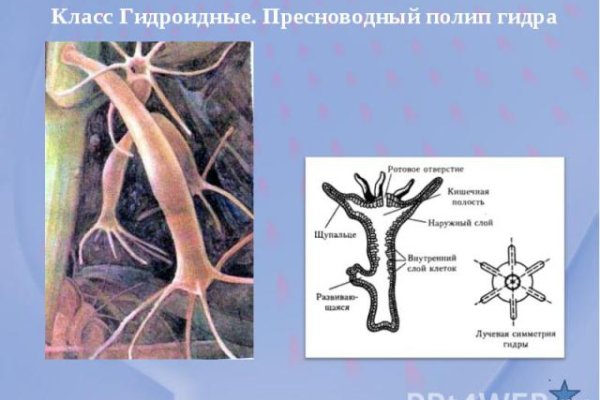 Как восстановить пароль кракен