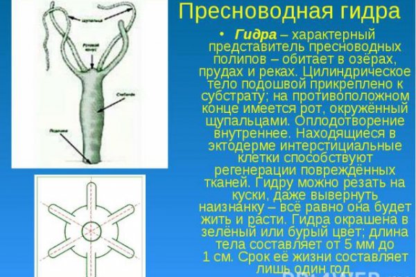 Не работает сайт kraken