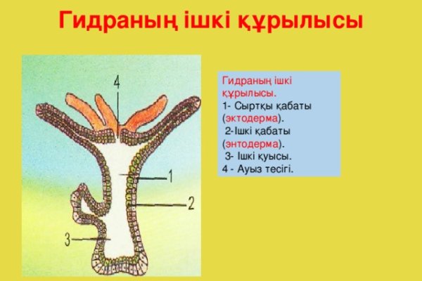 Кракен маркетплейс ассортимент